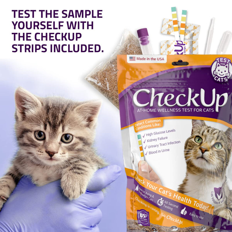 KIT4CAT CheckUp at Home Cat Wellness Test Kit | 2lb Hydrophobic Litter keeps urine on top, 2 Test Strips for The Detection of The 4 Most Common Health Indicators - pH, Protein, Glucose, Blood in urine 4 Parameters