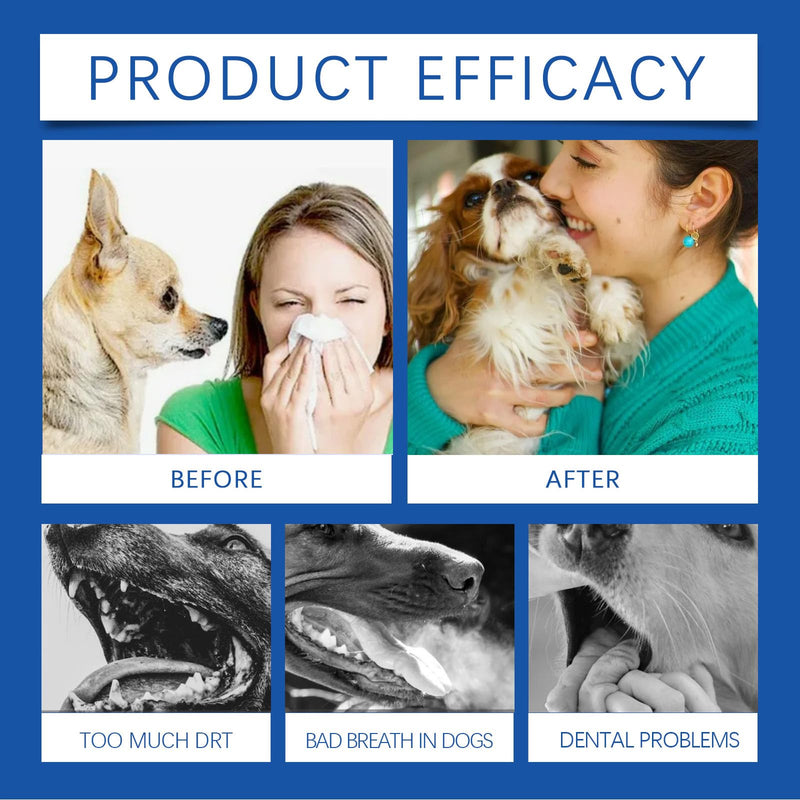 Pet Breath Freshener, Dog Dental Care Teeth Cleaning, Dental Care Oral Dog Mouthwash - 100ml Helps for Bad Breath, Freshens Breath and Aid in Daily Oral Use,Suitable for Breeds Dogs & Cats-3.38 Fl.oz