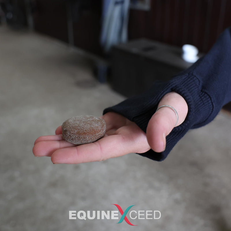 Equine Exceed Calmer Bites™ - Calming Treats for horses 10