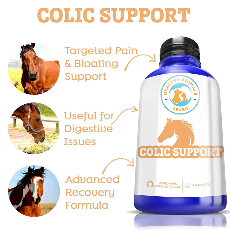 All-Natural Horse Colic Support - Reduces Abdominal Pain and Other Stomach Issues - Supplements for Horses - Homeopathic & Highly Effective - 300 Tablets - BeesActive Australia