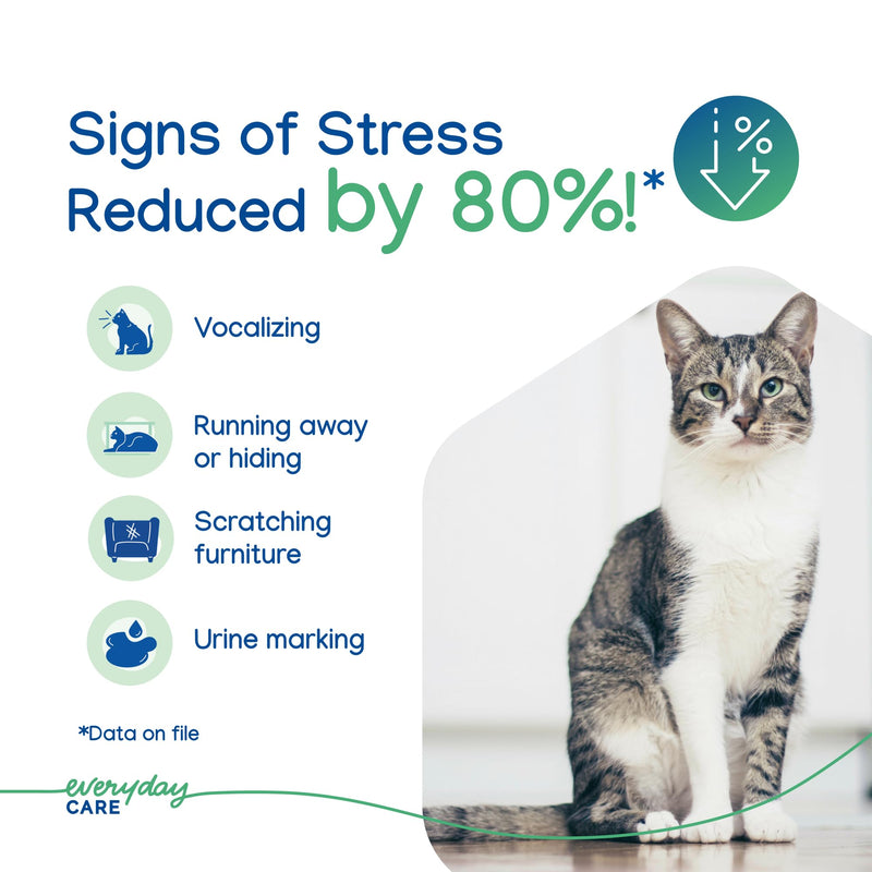 Virbac ZENIFEL™ Gel Diffuser | Managing Stress-Related Behaviors in Kittens & Cats - No Electricity Needed - Lasts Up to 2 Months