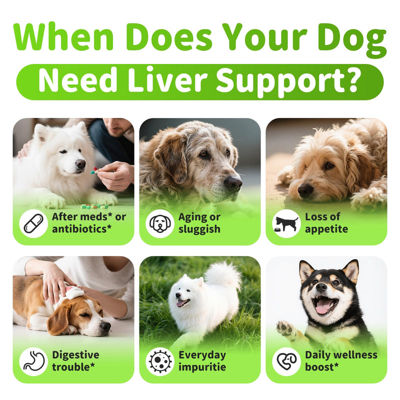 Dog Liver Support Chews - with Milk Thistle (Silybum), Same & NAC - Liver Supplement for Metabolic - Detox - Gut & Immune Health - Chicken Flavor, 90 Soft Chews Chicken 90 CT