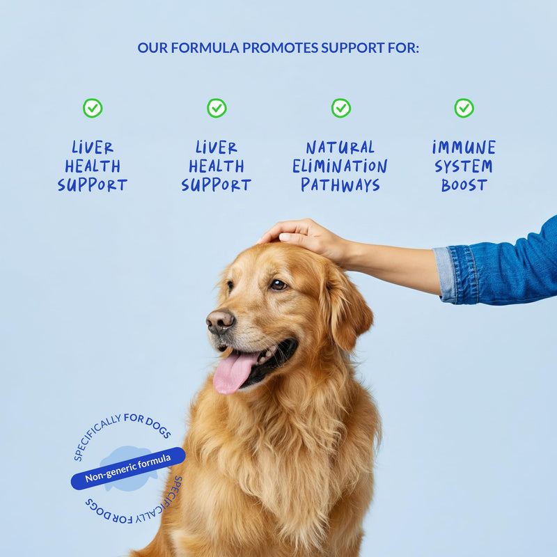 Milk Thistle Liquid for Dogs - Liver, Kidney & Detox Support | Liquid Milk Thistle with Choline & L-Arginine. Supports liver detox, kidney function & hepatic health with EPA & DHA. Liquid for Cats