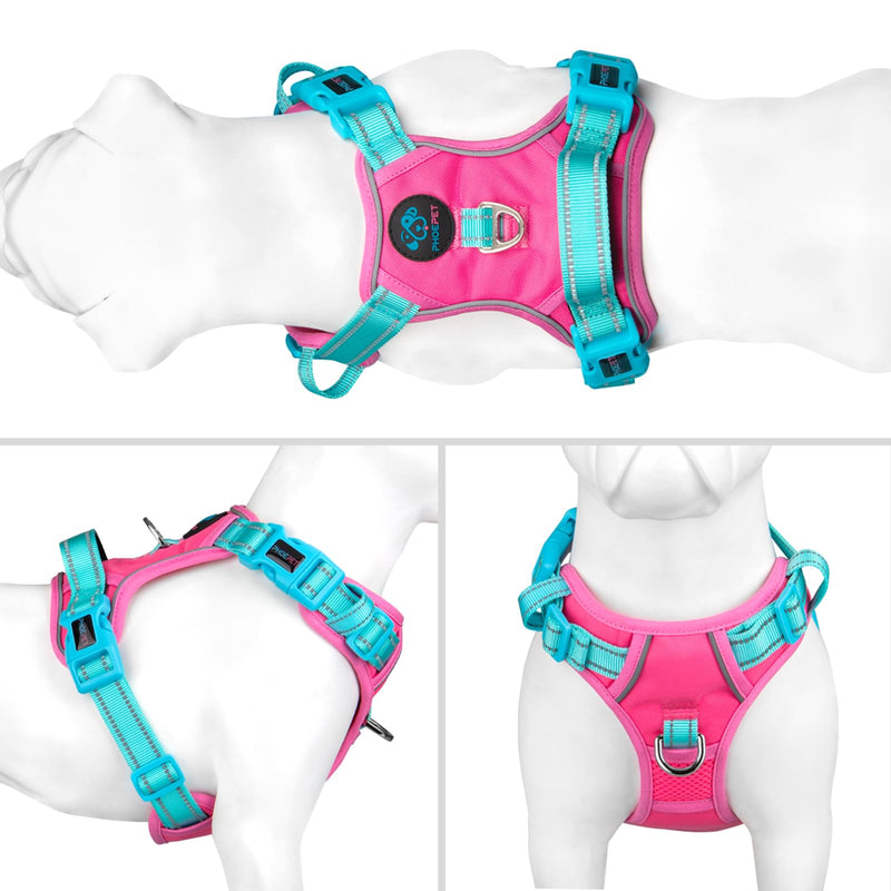 PHOEPET No Pull Dog Harness, Reflective Dog Vest with Soft Training Handle for Small, Medium and Large Dogs (Pink Base and Green Straps, S) Pink Base and Green Straps - BeesActive Australia