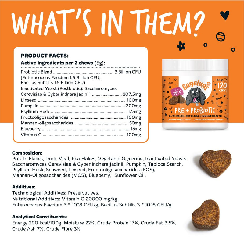 Bugalugs Probiotics for Dogs Natural Dog Treats with Pumpkin Powder for dogs – Gut Health, Sensitive Tums, Anal Glands, Scooting, Loose Stools, Smelly, Itchy Ears, Great for all dogs Probiotic Chews 300g