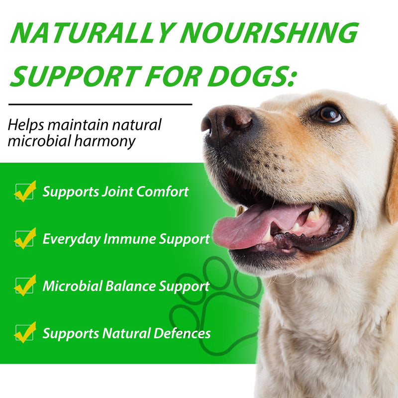 2Pack Natural Defence Drops for Dogs,Dog Immune Support Drops | Supports Joint, Digestion, Immunity & Skin Health | For Everyday Vitality | Suitable for All Breeds | 60ml
