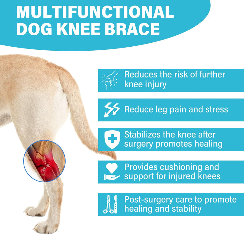 Dog Knee Leg Brace - Dog Knee Brace for Torn ACL Hind Leg, Dog Leg Braces for Back Leg & Front Leg, ACL Tear Leg Support, Comfortable and Adjustable, Size M Black(Dog Leg Brace) - BeesActive Australia