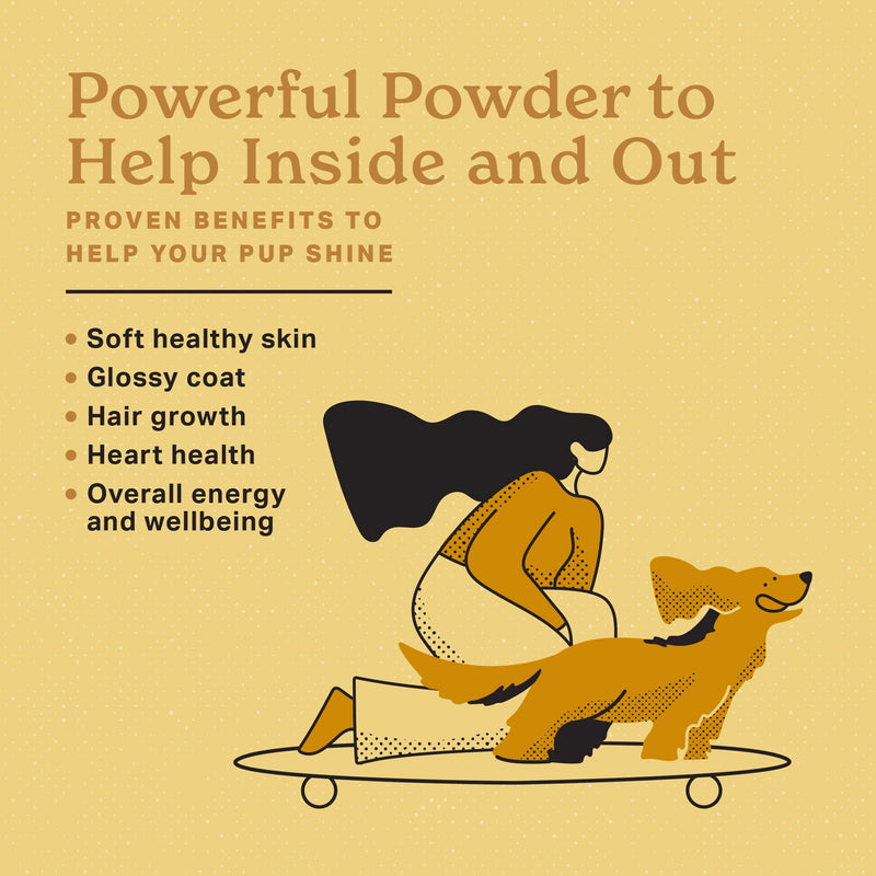 The Missing Link Skin & Coat + Probiotics Supplement 1lb Bag 2/Pack - Powerful Superfood Powder for Dogs Supports Healthy Skin & Glossy Coat, Promotes Hair Growth - PawsPlanet Australia