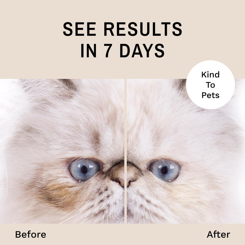 Eye Envy Tear Stain Remover Solution for Cats|100% Natural and Safe|Recommended by Breeders/vets/cat fanciers/Groomers|Contains colloidal Silver|Remove Stains from Fur on Persians and Exotics (8oz.) 8oz. - BeesActive Australia