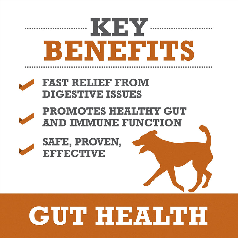 WINPRO Dog Gut Health Supplements – Plasma-Powered Chews for Dog Immune Support & Digestive Health, Fast-Acting Solution for Gut Health for Dogs of All Breeds & Sizes, 60 Count, Made in USA - PawsPlanet Australia