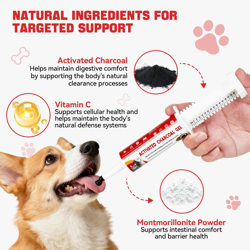Activated Charcoal for Dogs & Cats, Emergency Pet First Aid for Accidental Ingestion & Digestive Support, Essential Camping Survival Remedy, Ready-to-Absorb Toxins - 60mL 60 mL/cc