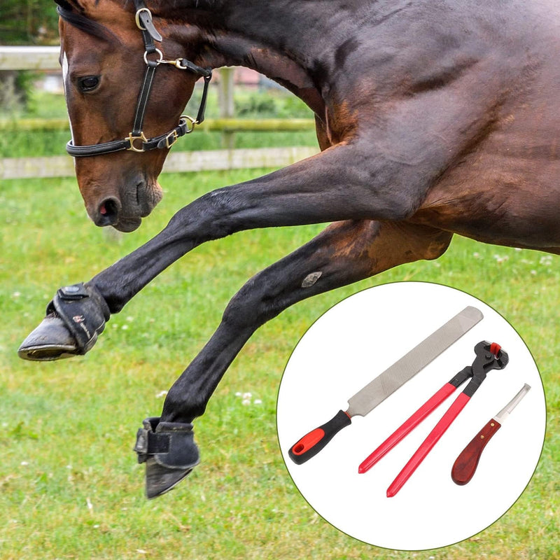 AYNEFY Horse Farriers,Professional Metal Shears Trimming Horse Equine Farriers Hoof Nipper Cutter Handle Knife Tools - BeesActive Australia
