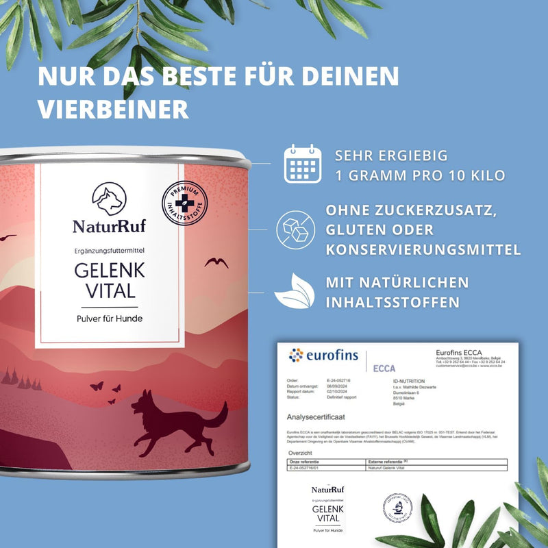 NaturRuf high-dose joint powder for dogs with green-lipped mussel, MSM, glucosamine - support of joint metabolism in osteoarthritis - alternative to joint tablets - high acceptance - BeesActive Australia