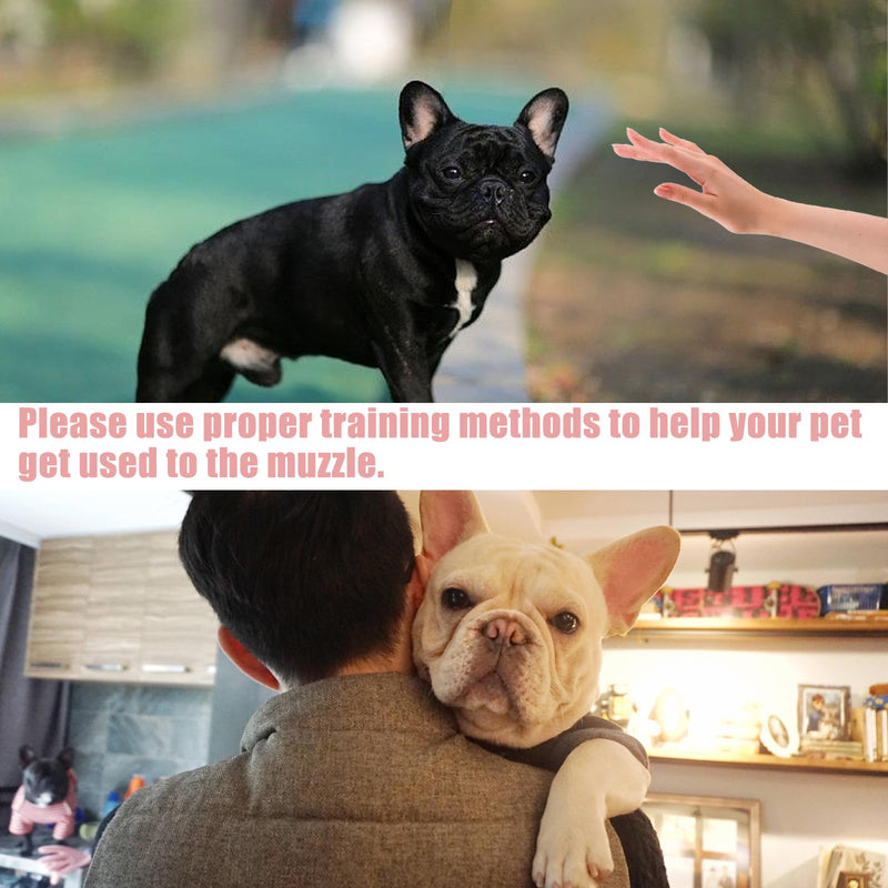 French Bulldog Muzzle Flattened Dog Muzzle with Short Snout Mask for Dogs with Short Snout Anti Biting Chewing Barking with Adjustable Mesh Head Strap - BeesActive Australia