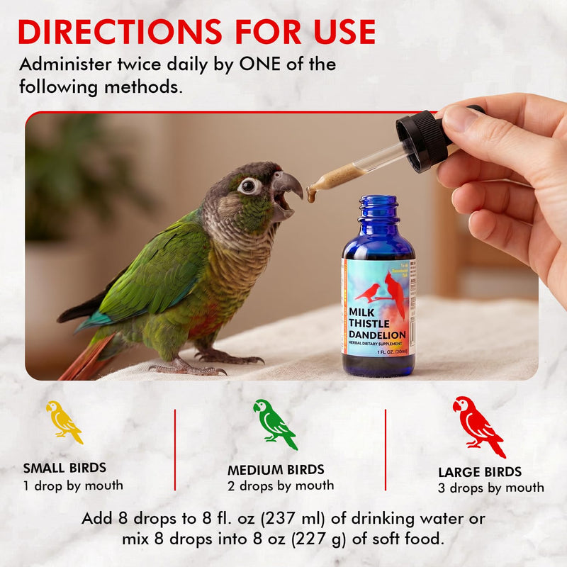 Morning Bird Milk Thistle & Dandelion Extract 1 fl oz – Organic Herbal Supplement for Birds – Supports Liver Health & Natural Detox – Suitable for All Bird Species