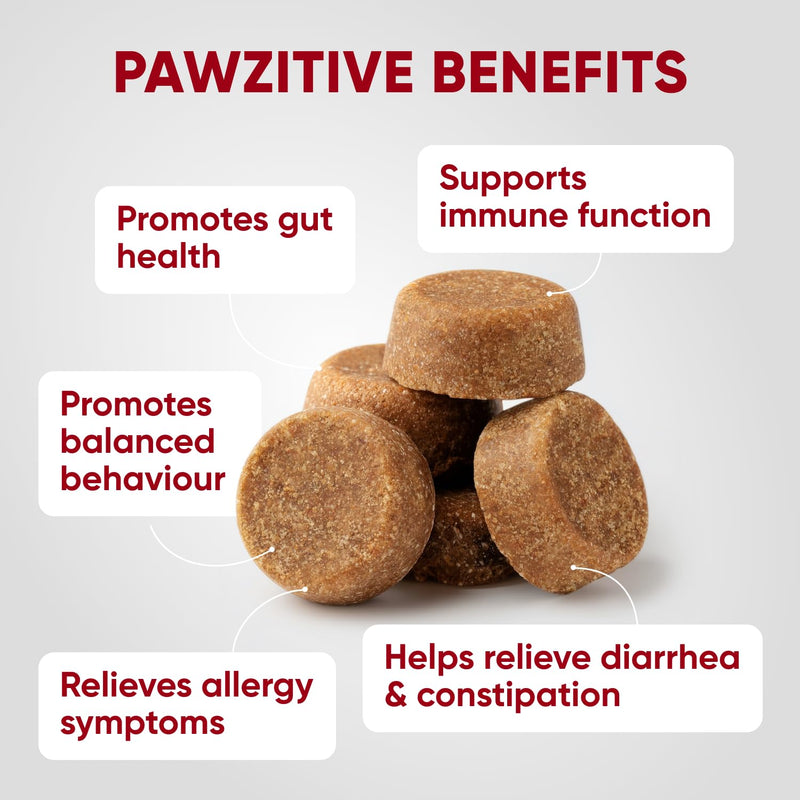 Probiotics for Dogs Digestive Health - Probiotic Chews for Gut Health, Itchy Skin Yeast, Diarrhea - USA Product - Immune Support Supplement - Dog Digestive Support & Allergy Relief Chews with Enzymes Probiotic & Enzymes Chews