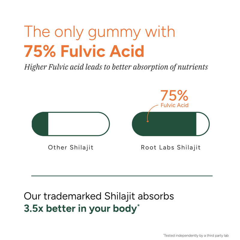 10-in-1 Alpha Shilajit Gummies | 4000 mg Pure Himalayan Shilajit, Tongkat Ali, Maca Root, 75% Fulvic Acid | ShilAbsorb Bioavailability Tech | Sugar-Free Vegan, 85+ Trace Minerals | 60 Pack 60 Count (Pack of 1) - BeesActive Australia