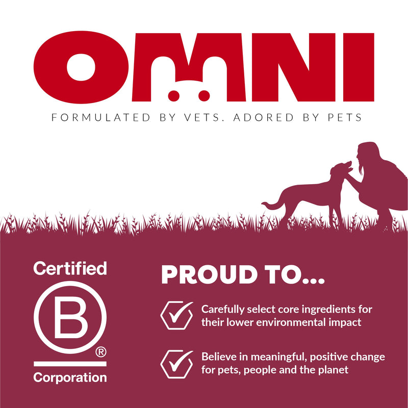 Omni Joint Supplements for Dogs - Dragons’ Den Winners, One-a-Day Joint & Mobility Chews with Glucosamine, Chondroitin & Omega 3, 30 Servings, Medium 15-30kg, Packaging May Vary Medium Dog (15-30kg) Pack of 1