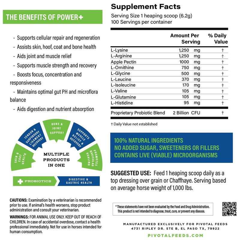 Power+ Horse Supplement (620g/1.36lbs - 100 Servings) - 9 Equine Amino Acids Plus Probiotics for Horses - No Added Sugar, No Soy, No Fillers - Horse Joint Support Supplement - BeesActive Australia