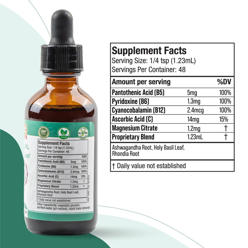 Active Adrenal - Support Tincture - Ashwagandha & B-Vitamins & Shelf Stable 2 Fl Oz (Pack of 2)