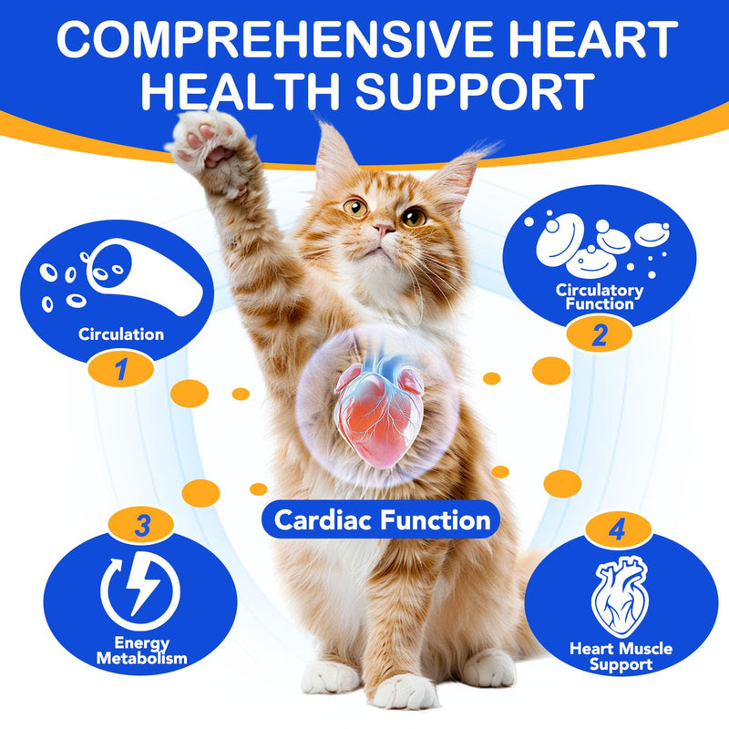 Taurine Supplement for Cats Liquid Drops, Taurine for Cats, Natural Amino Acid Cat Supplements, Cat Taurine Supplement for Heart, Vision, Skin & Coat and Immune Support for All Ages, 60ml