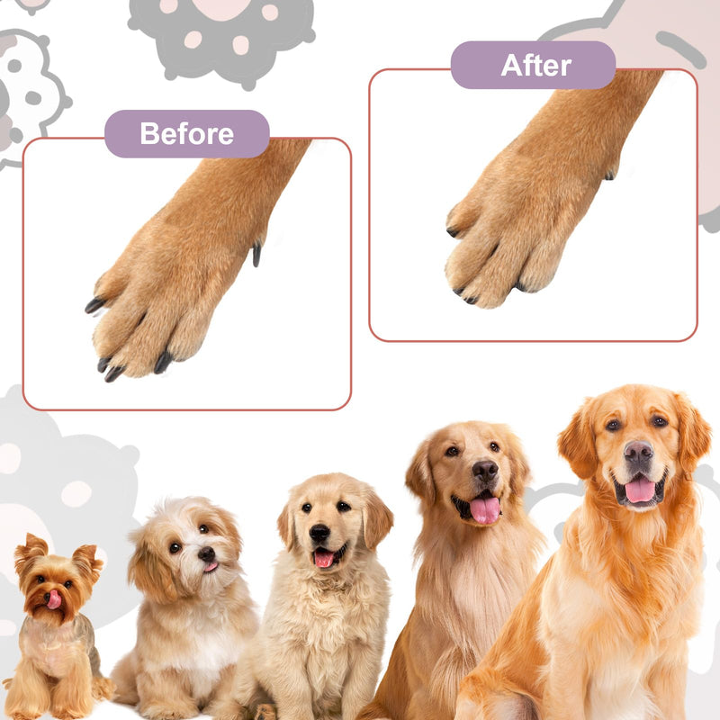 CIATBYYJ Dog Nail File with 6Pcs Replaceable Filing Disc, Dog Scratch Board for Safe and Easy Nail Care, Dog Nail Scratch Board Ensures Smooth and Healthy Nails for Dogs and Cats (Blue) Blue