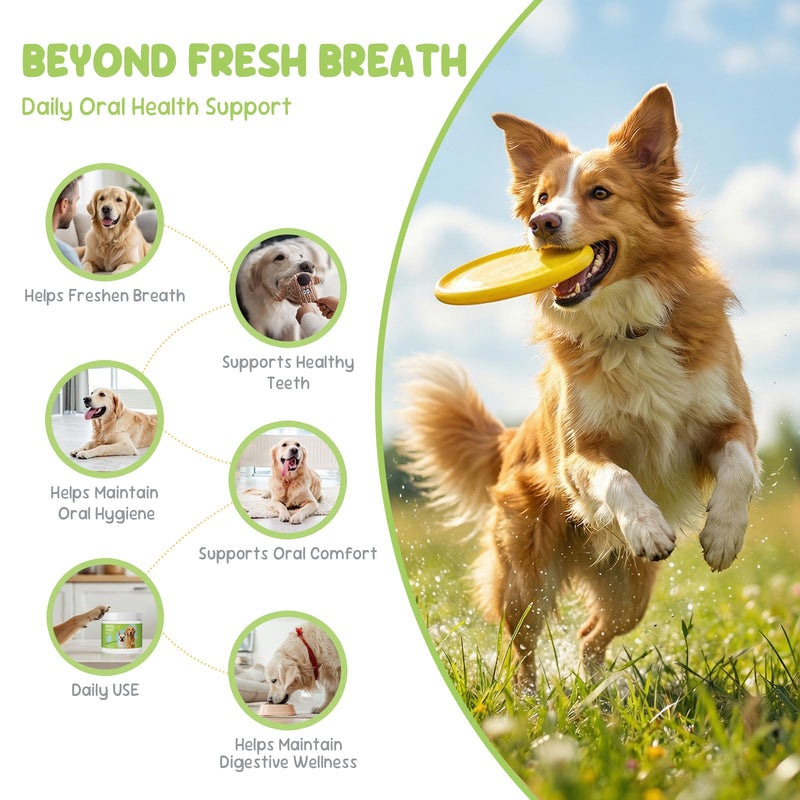 Dog Dental Powder, Fresh Breath & Oral Hygiene Support, Helps Reduce Plaque & Tartar, Chicken Flavor,2 Pack (3.5 oz Each) 2 x 3.5 oz Powder