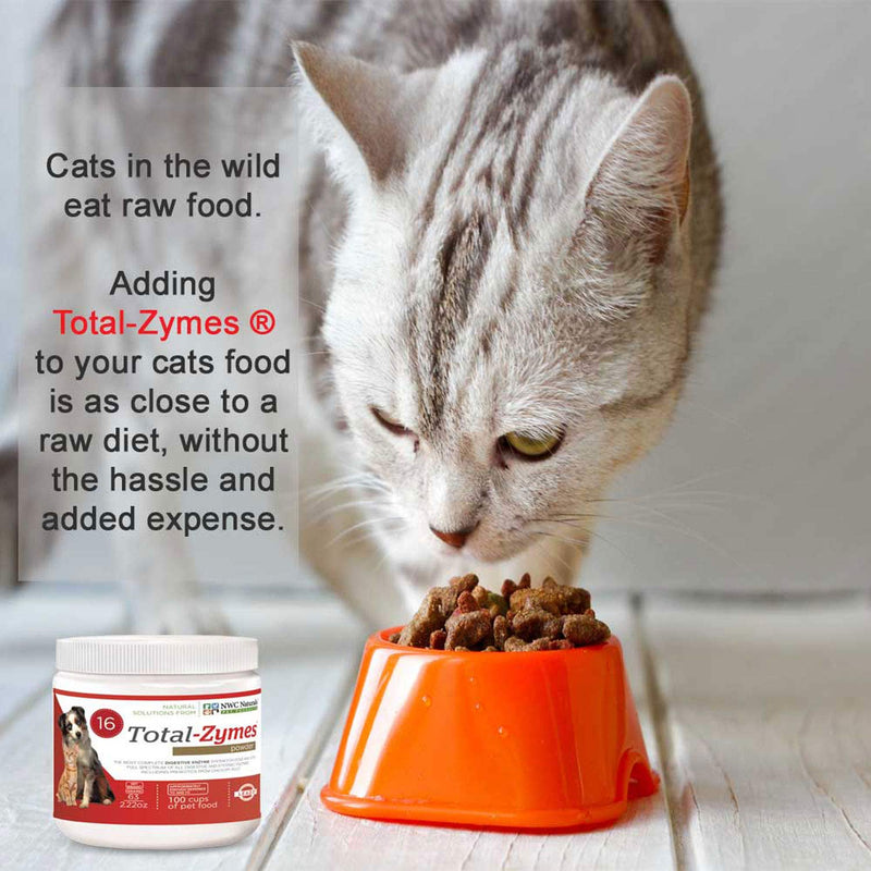 Total-Zymes- Digestive Enzymes for Dogs and Cats - Treats 365 Cups of Pet Food 8 Ounce (Pack of 1) - BeesActive Australia