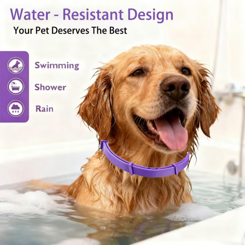2PCS Adjustable Calming Co/llar for Dogs,Waterproof Dog Co/llar with fl/ea & ti/ck Treatment,Anti Bark Co/llar with Lavender,Long-Lasting Soothing & Anxiety Relief,Puppy Safe,Dog Calming Co/llar
