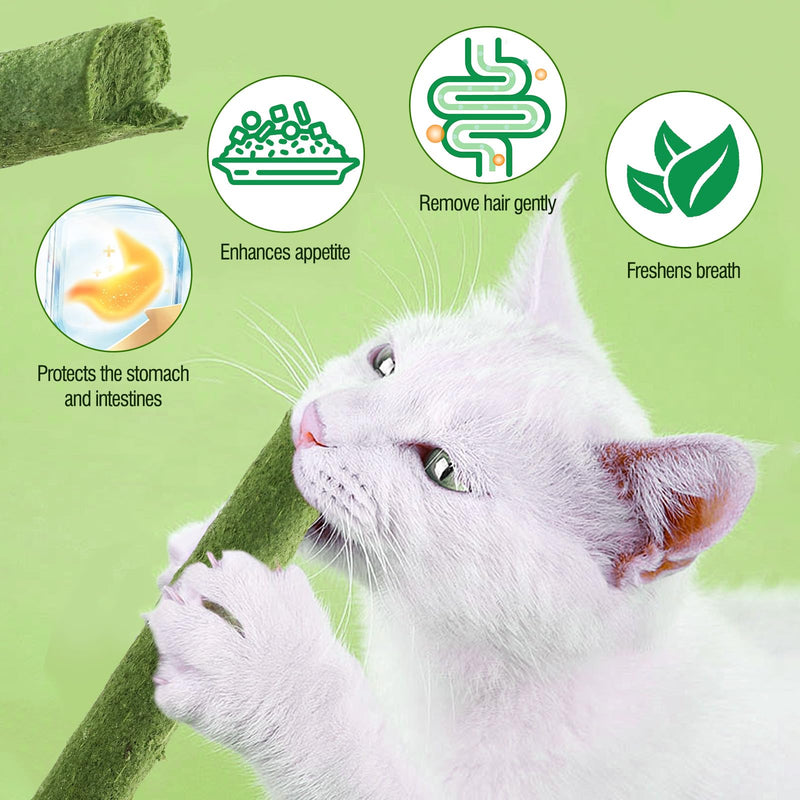HavenJanny Cat Grass Teething Stick for Cat, Cat Grass Stick Canned for Indoor Cats, Cat Grass Treats Hairball Relief and Teeth Cleaning(1.76oz) 1.76oz - BeesActive Australia
