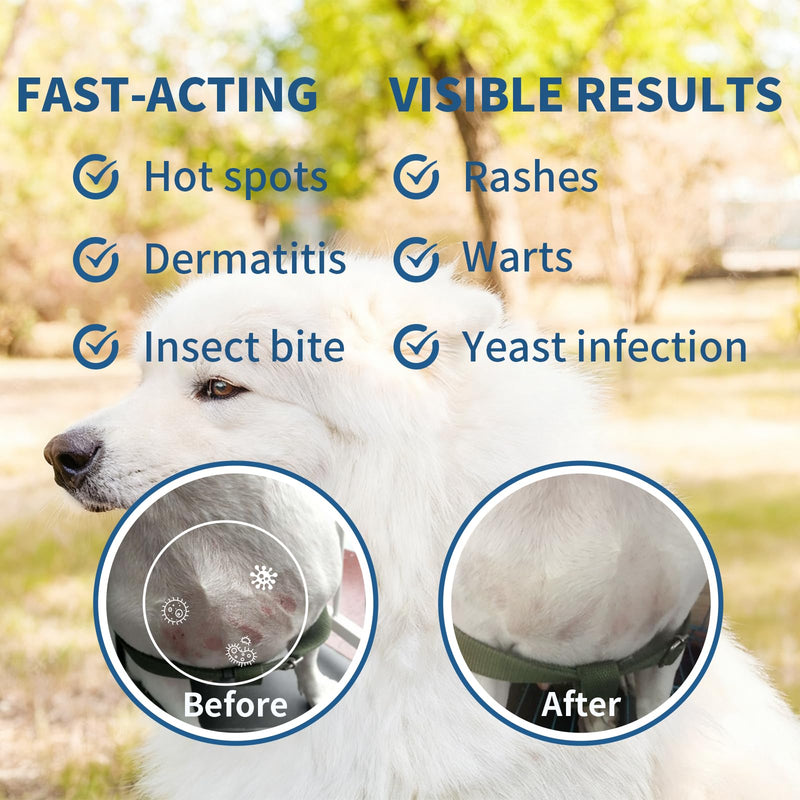 Hot Spot Treatment, Itch Relief Spray for Dogs and Cats. Relives Scratching, Sores, Rashes, Itchy Skin and Paw Licking, with Aloe and PHMB, 8 Fl Oz
