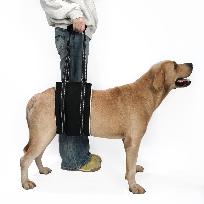 COODEO Adjustable Comfortable Dog Sling with Handle Hind Leg Support Soft Lift Support and Rehab Harness for Weak Rear Legs,Helps Senior, Injured, Disabled and After ACL Surgery Dogs Large (Black, M) Black