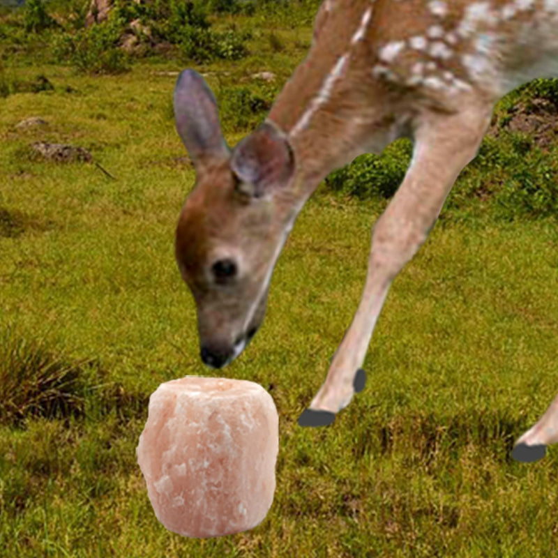 2 Pack Himalayan Salt Lick Natural Minerals Block on Rope for Horses,Cattles,Deer,Goat and Other Livestock Long Lasting Original Pink Salt Lick (4.8-6.6 lbs) 【2 PCS】 - PawsPlanet Australia