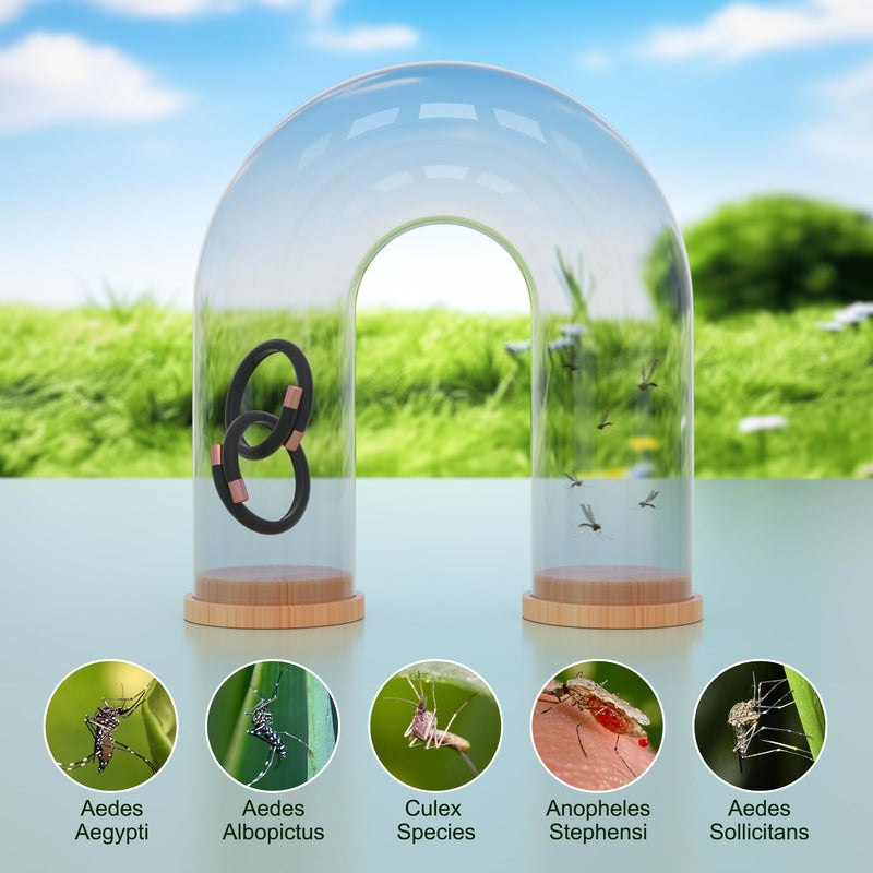 2 Pack Mosquito Repellent Bracelets - DEET-Free Bug Repellent Bracelets for Kids & Adults, Individually Wrapped Adjustable Insect Repellent Wristbands, Protection for Outdoor Activities 2 Pack Black - BeesActive Australia