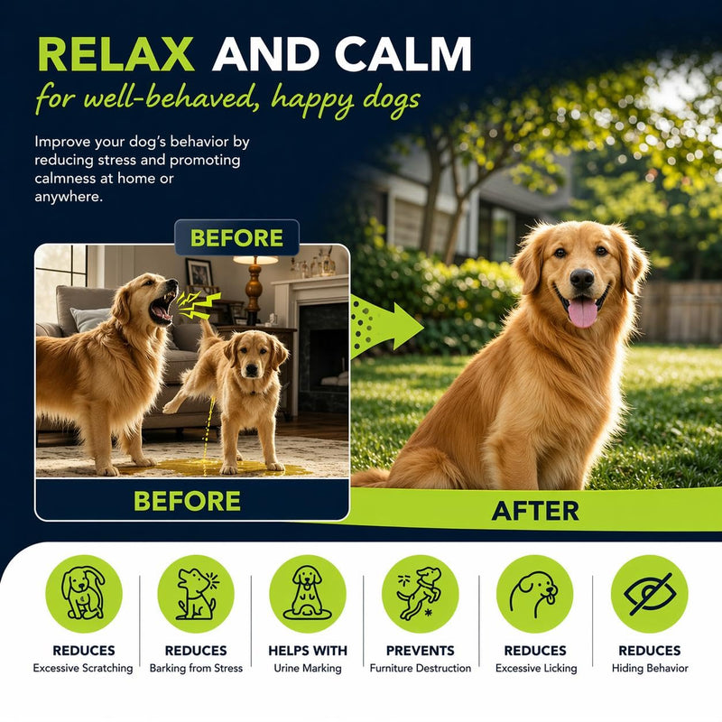 ProGuard® Calming Diffuser for Dog, Dog Pheromones Calming Diffuser Plug for Stress, Barking, Chewing, Pee Accidents & Separation Behaviors (3 Diffusers + 6 Refills) 3 Diffusers + 6 Refills