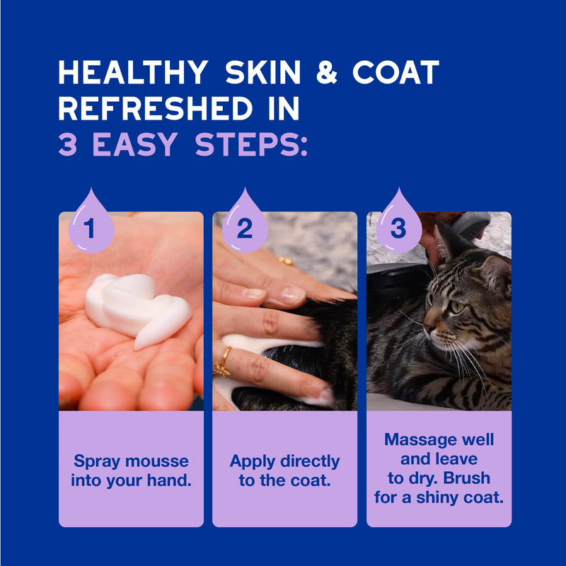 DOUXO Spa Complete Cat Bundle – No-Rinse Mousse & Wipes for for Stress-Free, Waterless Skincare - 97% Natural Ingredients, No Nasties