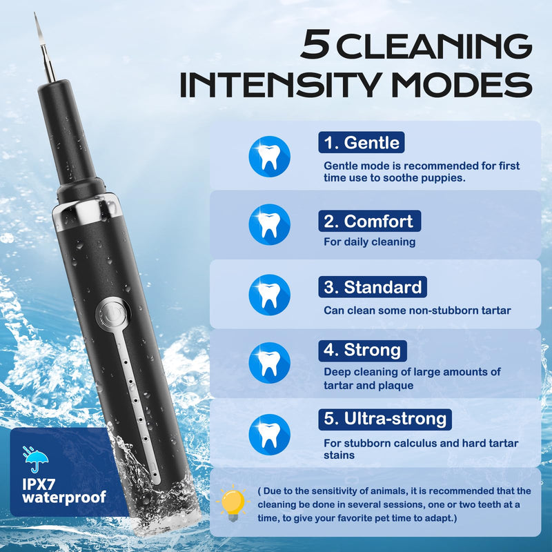 Plaque and Tartar Remover Kit for Dogs,Low Noise Waterproof Ultrasonic Tartar Remover for Pets,Adjustable 5 Modes of Cleaning Intensity (Black) Black - BeesActive Australia