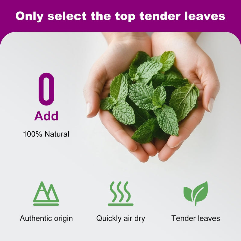 Organic 100% Natural Catnip Cattle Grass Mint Taste Funny Cat Toy New Cat Toy Interactive Cat Toys Pet Supplies - BeesActive Australia