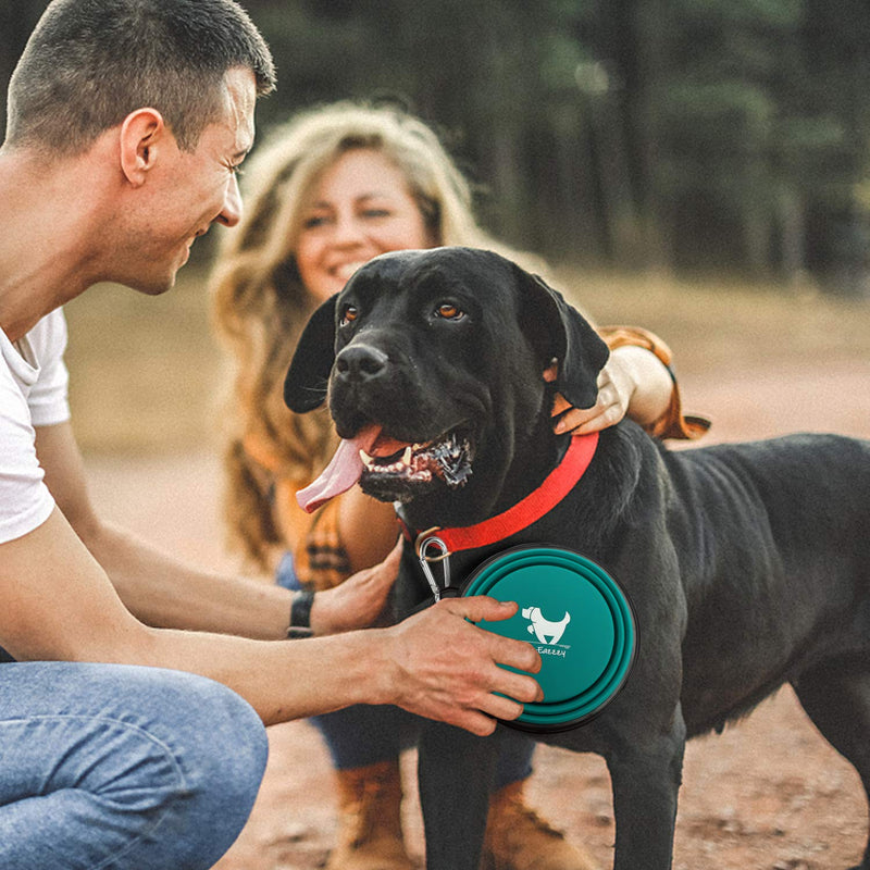 Collapsible Dog Bowls for Travel, 2-Pack Dog Portable Water Bowl for Dogs Cats Pet Foldable Feeding Watering Dish for Traveling Camping Walking with 2 Carabiners, BPA Free Small (Pack of 2) green&blue - BeesActive Australia