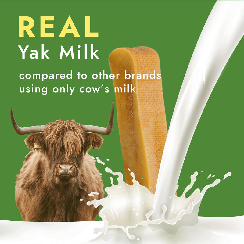 William Hunter Yak Cheese Himalayan Dog Chews - Long Lasting 100% Natural High Protein Dental Dog Chews for Aggressive Chewers (Large 1 Pack) Large 1 pack