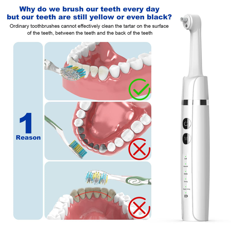 Tooth Polisher,Teeth Polishing Kit for Daily Cleaning,Polishing Then Whitening of Tooth (Professional toothpaste include),USB Rechargeable Dental Polisher with LED Light,6 Heads,5 Speed Modes White - BeesActive Australia