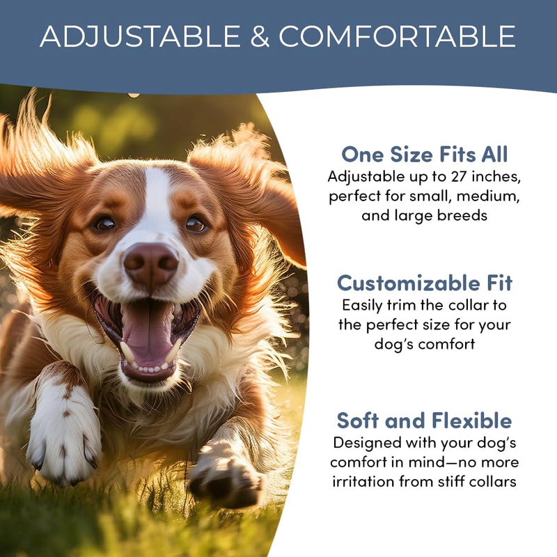Flea and Tick Collar for Dogs and Cats- Lasts Up to 8-Months Using Natural Plant-Based Oils - Safe for Pets, People and The Environment - 2-Pack Flea Collar for Dogs and Cats - BeesActive Australia