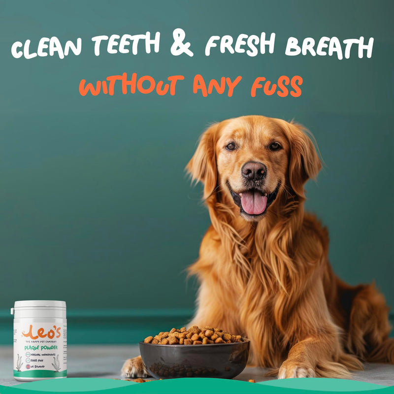 Leo's Plaque Off Powder For Dogs & Cats | 200g | Pet Teeth Cleaning | Cat & Dog Breath Freshener Food Topper | 100% Natural | No Dog Toothbrush or Dog Toothpaste | Plaque Remover For Dogs & Cats 1 Pack