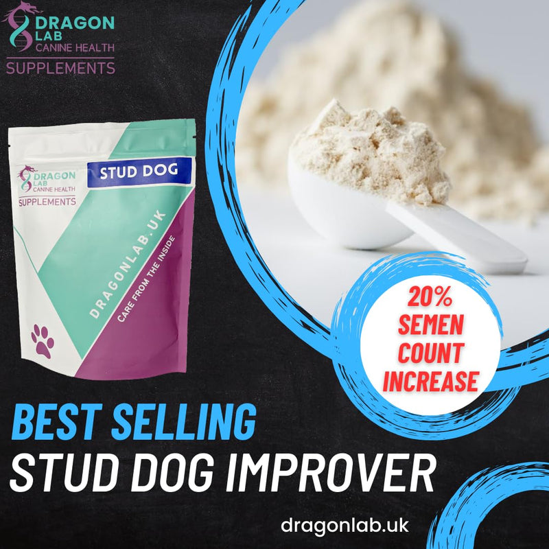 Stud Dog Breeding Supplement | CANINE FERTILITY | INCREASE FERTILITY | IMPROVE MATING SUCCESS | BOOST MATING STAMINA