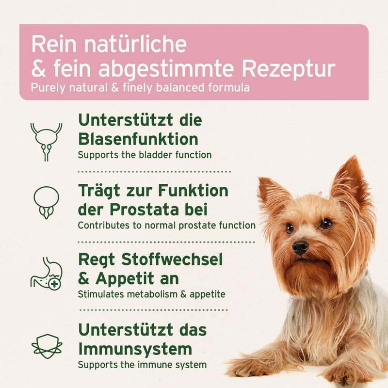 AniForte Bladder Formula for Dogs 100 g - Walk Less, Supports Bladder Function for Bladder Weakness, Incontinence, Urine Leakage & Urine Loss - BeesActive Australia