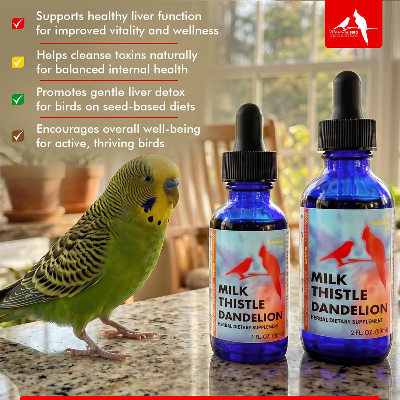 Morning Bird Milk Thistle & Dandelion Extract 1 fl oz – Organic Herbal Supplement for Birds – Supports Liver Health & Natural Detox – Suitable for All Bird Species