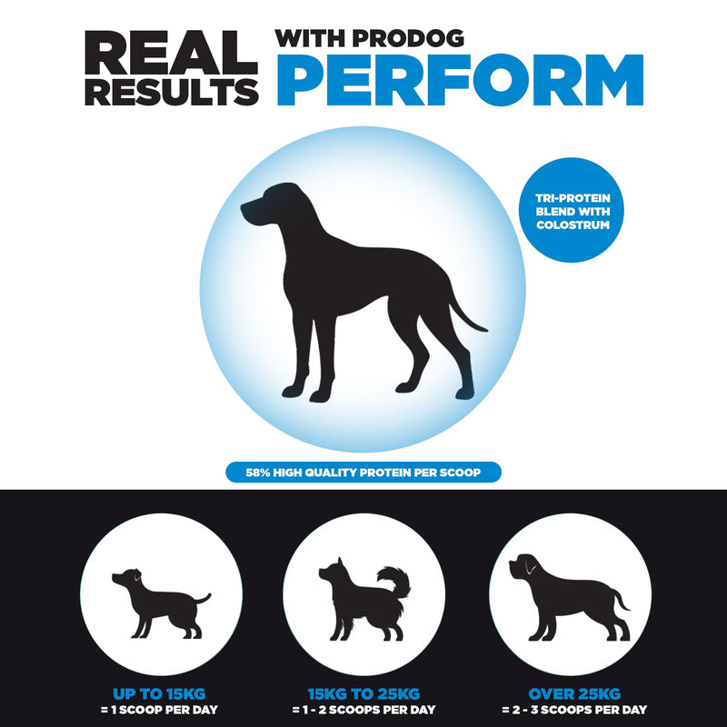 ProDog Perform Food Topper Powder for Working & Sporting Dogs | 58% Tri-Protein + Fish Collagen | Omega 3, 6, 9 & Ginseng for Strength, Stamina & Focus | 60 Servings 300 grams