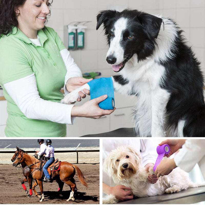 LotFancy Vet Wrap for Horses, 10 Pack, 3 inch by 5 Yards, Self Adhesive Bandage Wrap, Non-Woven Medical First Aid Tape for Pet Dog Cat Ankle Sprains & Swelling, Horse Leg Wraps - BeesActive Australia