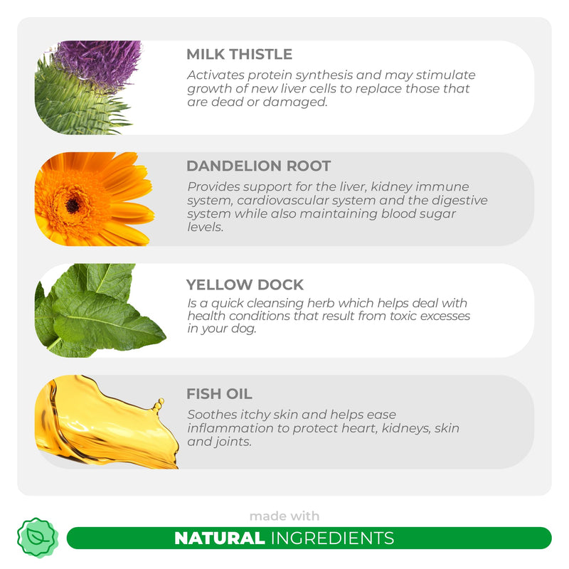Milk Thistle + 10 in 1 Multivitamin for Dogs - Liver Support, Skin and Coat Health, Digestive Health, Hip and Joint Support and Heart Health. - PawsPlanet Australia