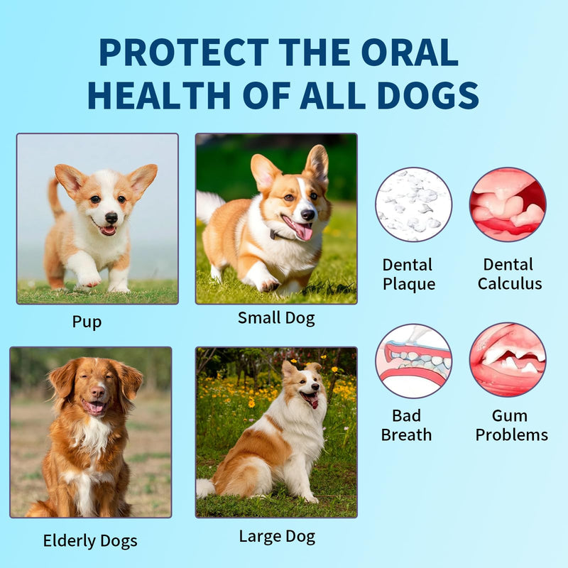 2 PCS PawBright Dental Plus,Natural, Odorless & Flavorless Teeth Cleaning Mouthwash to Fight Tartar,Promote Healthy Gums & Freshen Breath,Easy Daily Use for all Pet